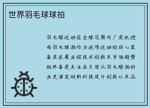 世界羽毛球球拍