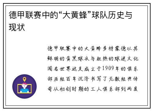 德甲联赛中的“大黄蜂”球队历史与现状